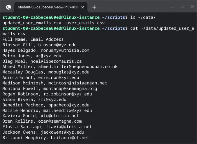 working-with-regular-expressions-5